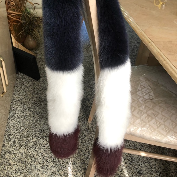 FOX - Picture 2 of 16